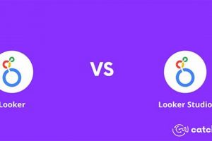 Looker Studio vs Looker: Which Data Tool Wins? | Study Travel Abroad | Explore Educational Trips & Global Learning Opportunities