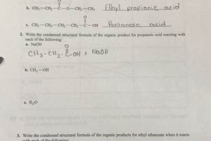 Mastering Pre-Lab: Study Questions & Key Concepts 25 Study Travel Abroad | Explore Educational Trips & Global Learning Opportunities Mastering Pre-Lab: Study Questions & Key Concepts 25 | Study Travel Abroad | Explore Educational Trips & Global Learning Opportunities