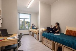 Unlock CSUF Study Room Success: Tips & Spaces Study Travel Abroad | Explore Educational Trips & Global Learning Opportunities Unlock CSUF Study Room Success: Tips & Spaces | Study Travel Abroad | Explore Educational Trips & Global Learning Opportunities