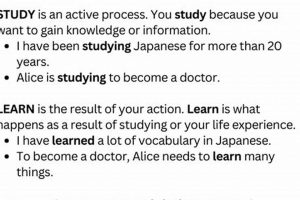 Learn vs. Study: Know the Difference! Study Travel Abroad | Explore Educational Trips & Global Learning Opportunities Learn vs. Study: Know the Difference! | Study Travel Abroad | Explore Educational Trips & Global Learning Opportunities