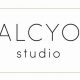 Explore Halcyon Studio: Your Creative Hub [Location] | Study Travel Abroad | Explore Educational Trips & Global Learning Opportunities