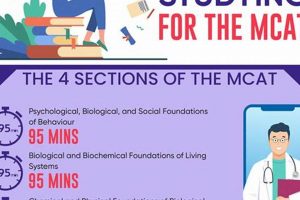 MCAT Prep: When to Start Studying for MCAT Success Guide | Study Travel Abroad | Explore Educational Trips & Global Learning Opportunities