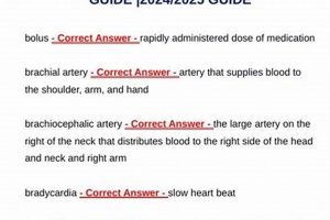 Your Ultimate Daance Study Guide Toolkit (2024) | Study Travel Abroad | Explore Educational Trips & Global Learning Opportunities