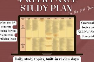 Ace Your PANCE: The Ultimate Study Schedule Guide | Study Travel Abroad | Explore Educational Trips & Global Learning Opportunities