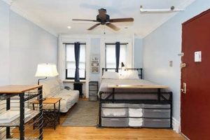 Find Your Harlem Studio Apartments Oasis Today! | Study Travel Abroad | Explore Educational Trips & Global Learning Opportunities