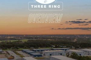 Cinelease Studios - Three Ring: Film Production Hub Study Travel Abroad | Explore Educational Trips & Global Learning Opportunities Cinelease Studios - Three Ring: Film Production Hub | Study Travel Abroad | Explore Educational Trips & Global Learning Opportunities