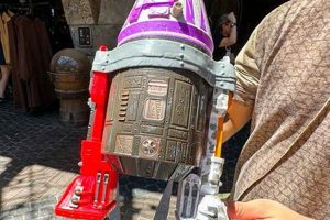 Disney's Hollywood Studios Popcorn Bucket: Collector's Guide Study Travel Abroad | Explore Educational Trips & Global Learning Opportunities Disney's Hollywood Studios Popcorn Bucket: Collector's Guide | Study Travel Abroad | Explore Educational Trips & Global Learning Opportunities