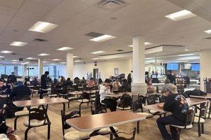 The Cafeteria Study Guide: Insights & Tips Study Travel Abroad | Explore Educational Trips & Global Learning Opportunities The Cafeteria Study Guide: Insights & Tips | Study Travel Abroad | Explore Educational Trips & Global Learning Opportunities