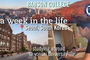 Unlock Global Business: Study Abroad Babson Advantage Study Travel Abroad | Explore Educational Trips & Global Learning Opportunities Unlock Global Business: Study Abroad Babson Advantage | Study Travel Abroad | Explore Educational Trips & Global Learning Opportunities