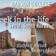 Unlock Global Business: Study Abroad Babson Advantage | Study Travel Abroad | Explore Educational Trips & Global Learning Opportunities