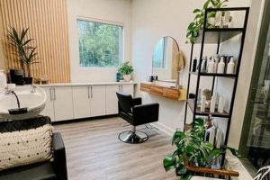 Find Your Dream Salon Studio for Rent Near You! | Study Travel Abroad | Explore Educational Trips & Global Learning Opportunities