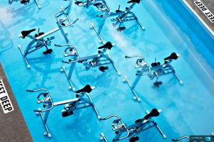 Discover Aqua Studio: Your Ultimate Aquatic Fitness Haven Study Travel Abroad | Explore Educational Trips & Global Learning Opportunities Discover Aqua Studio: Your Ultimate Aquatic Fitness Haven | Study Travel Abroad | Explore Educational Trips & Global Learning Opportunities