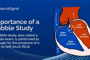 What Is A Bubble Study Test? Uses & Risks Study Travel Abroad | Explore Educational Trips & Global Learning Opportunities What Is A Bubble Study Test? Uses & Risks | Study Travel Abroad | Explore Educational Trips & Global Learning Opportunities