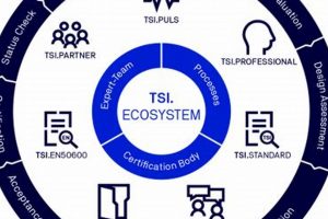 Boost Skills: Is TSI Internal Studies Program? + Benefits Study Travel Abroad | Explore Educational Trips & Global Learning Opportunities Boost Skills: Is TSI Internal Studies Program? + Benefits | Study Travel Abroad | Explore Educational Trips & Global Learning Opportunities