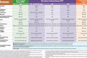 Blue Cross Sleep Study Cost: Coverage & Your Expenses Study Travel Abroad | Explore Educational Trips & Global Learning Opportunities Blue Cross Sleep Study Cost: Coverage & Your Expenses | Study Travel Abroad | Explore Educational Trips & Global Learning Opportunities