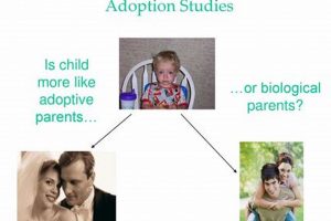 AP Psych: Adoption Studies - Definition & Guide Study Travel Abroad | Explore Educational Trips & Global Learning Opportunities AP Psych: Adoption Studies - Definition & Guide | Study Travel Abroad | Explore Educational Trips & Global Learning Opportunities