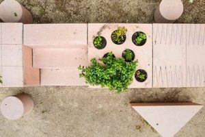 Small Studio Square Garden Ideas: Design & Tips | Study Travel Abroad | Explore Educational Trips & Global Learning Opportunities