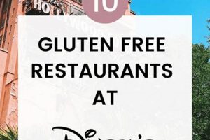 Your Guide: Gluten Free Hollywood Studios (Tips & Eats) | Study Travel Abroad | Explore Educational Trips & Global Learning Opportunities