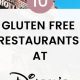 Your Guide: Gluten Free Hollywood Studios (Tips & Eats) | Study Travel Abroad | Explore Educational Trips & Global Learning Opportunities