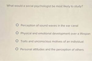 Social Minds: Unveiling What Social Psychologists Study Today | Study Travel Abroad | Explore Educational Trips & Global Learning Opportunities