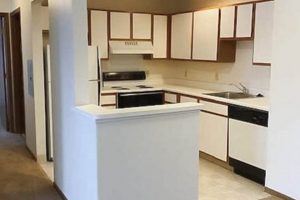 Find Affordable Studio Apartments in East Lansing, MI | Study Travel Abroad | Explore Educational Trips & Global Learning Opportunities