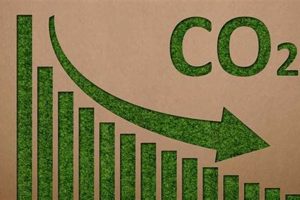 Nature's Effect: Study Beyond CO2 Cause [Impact] | Study Travel Abroad | Explore Educational Trips & Global Learning Opportunities