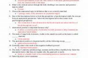 Master A&P Study: Your Anatomy & Physiology Success Guide Study Travel Abroad | Explore Educational Trips & Global Learning Opportunities Master A&P Study: Your Anatomy & Physiology Success Guide | Study Travel Abroad | Explore Educational Trips & Global Learning Opportunities