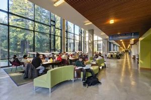 McHenry Library Study Rooms: Book Your Space! | Study Travel Abroad | Explore Educational Trips & Global Learning Opportunities