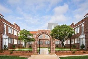 Reviving Kasa: Studio Revival Atlanta's Success | Study Travel Abroad | Explore Educational Trips & Global Learning Opportunities