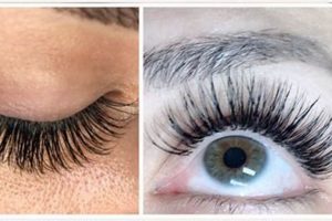 Elevate Your Look: Glam Lash Studio - Eyelash Perfection | Study Travel Abroad | Explore Educational Trips & Global Learning Opportunities