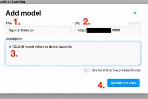 Add Model File to Label Studio: ML Backend Guide | Study Travel Abroad | Explore Educational Trips & Global Learning Opportunities