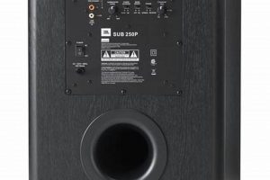 Rent a Studio Sub: Affordable Creative Spaces Study Travel Abroad | Explore Educational Trips & Global Learning Opportunities Rent a Studio Sub: Affordable Creative Spaces | Study Travel Abroad | Explore Educational Trips & Global Learning Opportunities