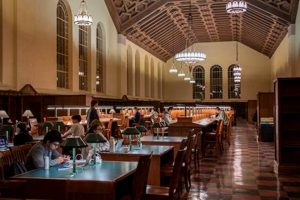 Powell Study Room: Your Quiet Campus Haven + Tips | Study Travel Abroad | Explore Educational Trips & Global Learning Opportunities