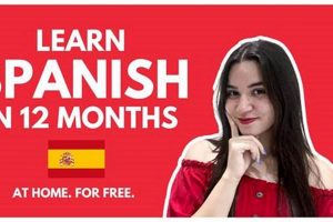 Benefits of Getting Studied in Spanish: A Guide | Study Travel Abroad | Explore Educational Trips & Global Learning Opportunities
