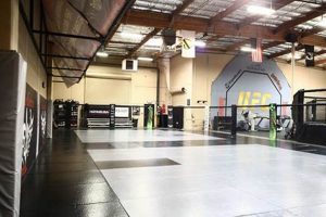 Find Top MMA Studios Near You: Training & More | Study Travel Abroad | Explore Educational Trips & Global Learning Opportunities