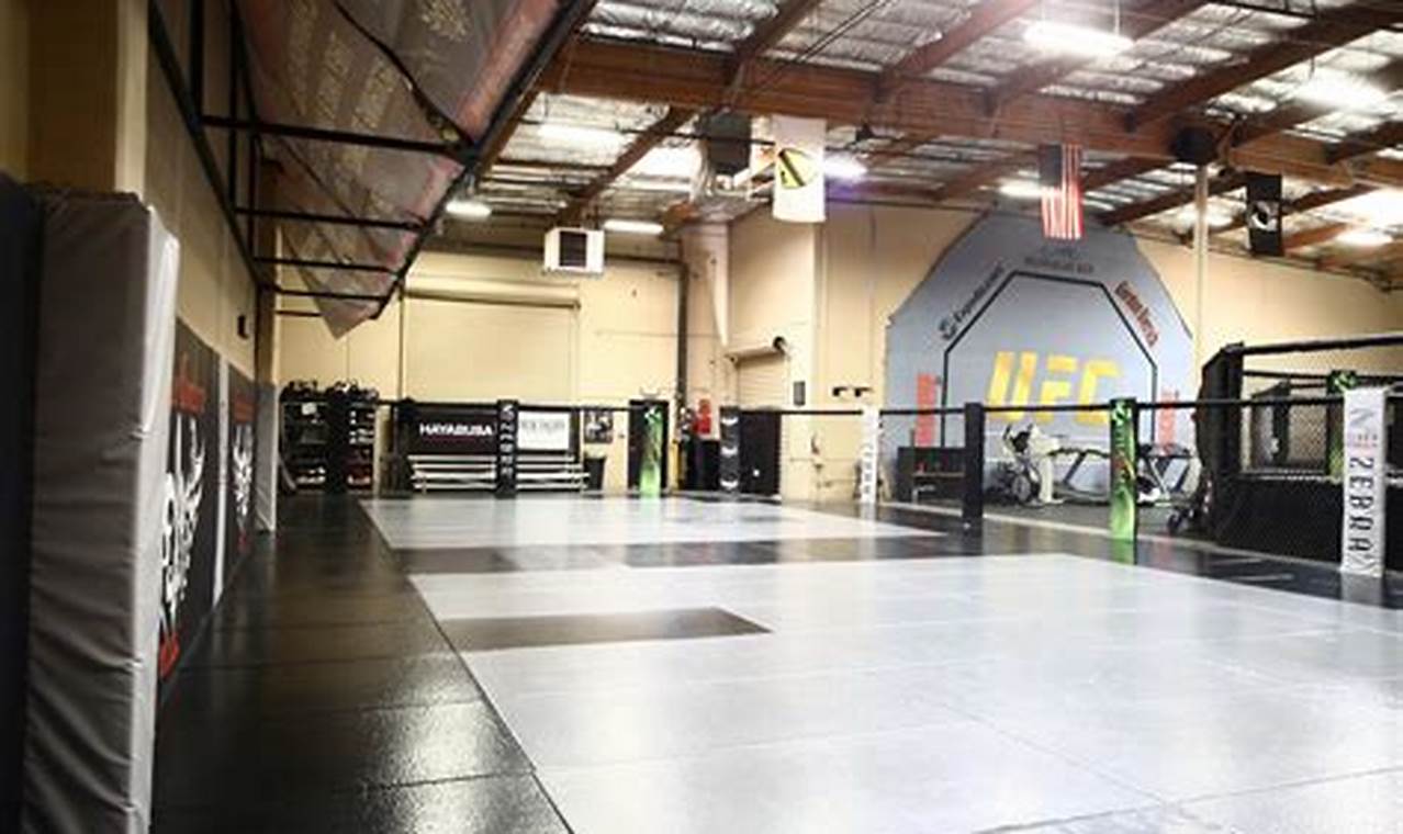 Find Top MMA Studios Near You: Training & More | Study Travel Abroad | Explore Educational Trips & Global Learning Opportunities