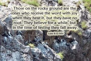 The Rocky Study: [Prefix] Analysis &amp; Insights [Suffix] | Study Travel Abroad | Explore Educational Trips & Global Learning Opportunities