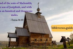 Unlocking Ezra 8-10 Study: Insights & Analysis Guide | Study Travel Abroad | Explore Educational Trips & Global Learning Opportunities