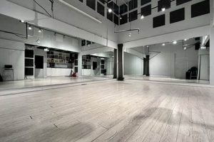 Your Dance: Perfect Studio Rental Space Awaits! | Study Travel Abroad | Explore Educational Trips & Global Learning Opportunities