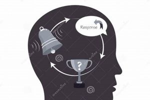 Why A Behaviorist Might Study [Topic] + More | Study Travel Abroad | Explore Educational Trips & Global Learning Opportunities