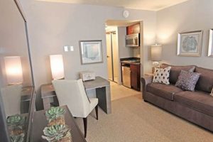 Find University Studio Apartments Near Me: Guide & Tips | Study Travel Abroad | Explore Educational Trips & Global Learning Opportunities