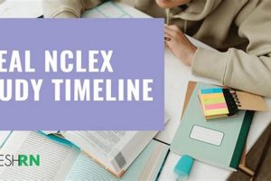 NCLEX Prep: Finding Your Ideal Time to Study | Study Travel Abroad | Explore Educational Trips & Global Learning Opportunities