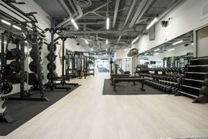 Find Your Ideal Fitness Studio for Rent Space Today! | Study Travel Abroad | Explore Educational Trips & Global Learning Opportunities