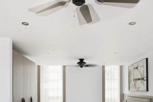 Discover: Affordable Studio Suites Near You Today! | Study Travel Abroad | Explore Educational Trips & Global Learning Opportunities