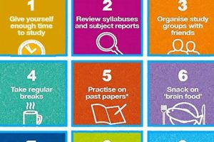 Prep Smart: Do You Need to Study *For* Preview Prep? Tips! | Study Travel Abroad | Explore Educational Trips & Global Learning Opportunities