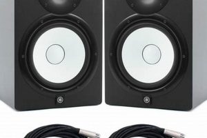 Enhance Studio Sound: Pro Studio Woofer Guide | Study Travel Abroad | Explore Educational Trips & Global Learning Opportunities