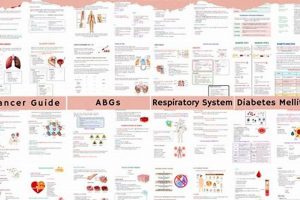 Best Med Surg Study Guide: Ace Your Med-Surg Exam! | Study Travel Abroad | Explore Educational Trips & Global Learning Opportunities