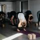 Find Hatha Yoga Studios Near Me: Best Classes Nearby | Study Travel Abroad | Explore Educational Trips & Global Learning Opportunities