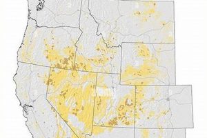Legal Insect Collecting: Wilderness Areas &amp; Study Zones Rules | Study Travel Abroad | Explore Educational Trips & Global Learning Opportunities