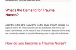 Prep for Trauma Nursing: Core Course Study Guide Tips | Study Travel Abroad | Explore Educational Trips & Global Learning Opportunities